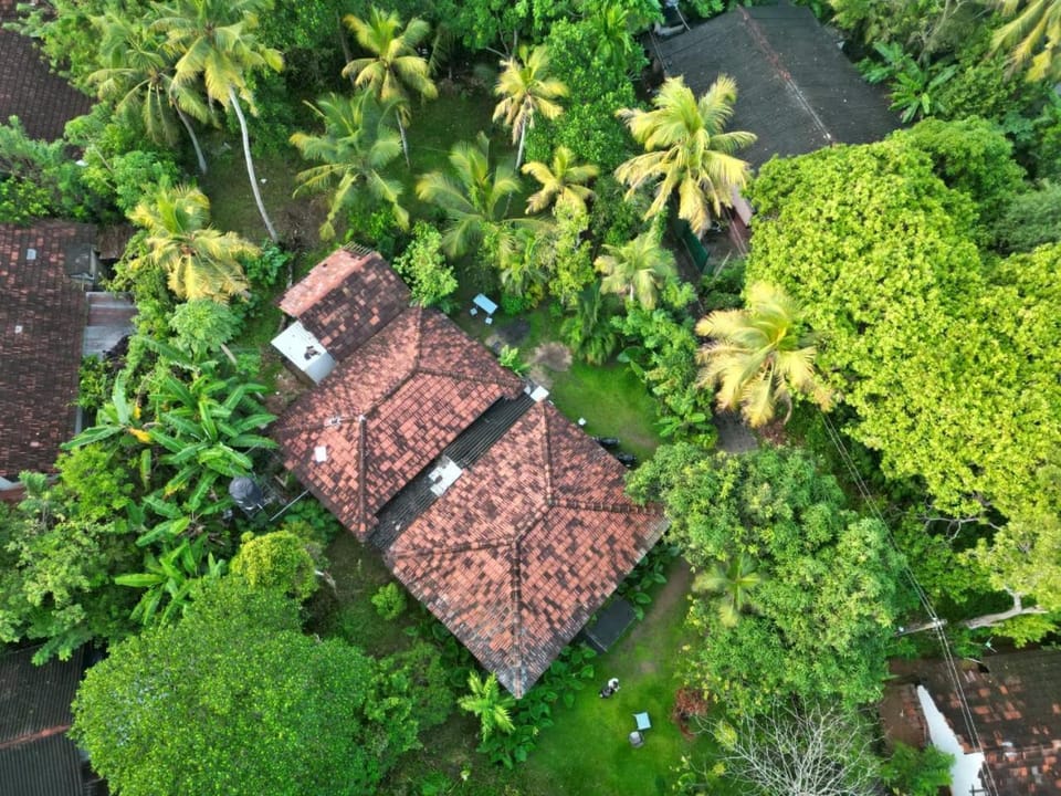Property building, Day, Natural landscape, Bird's eye view, Garden, Garden view