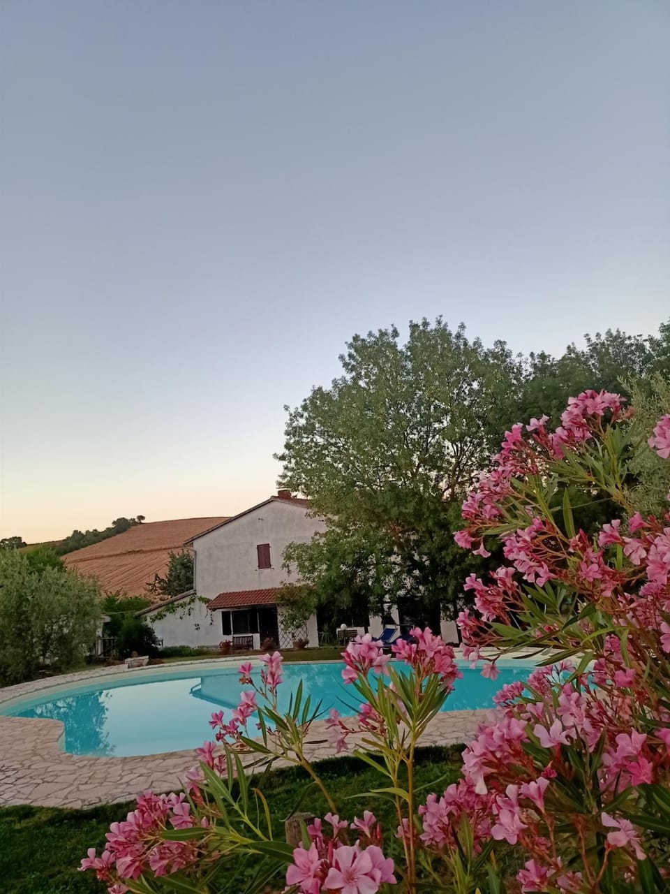 Agriturismo La Locandiera Farm Stay in Tuscany