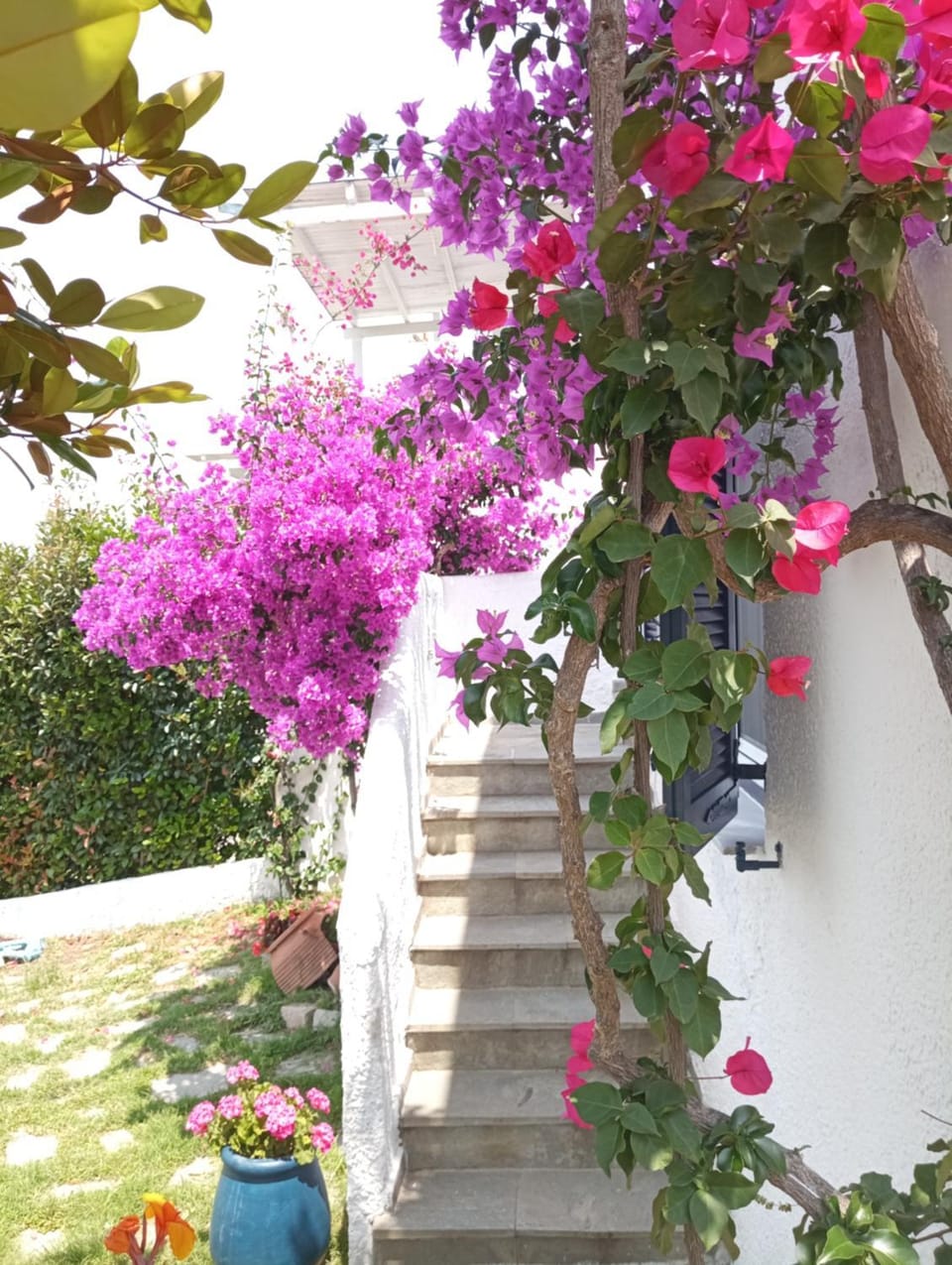 Villa Danai House in Halkidiki
