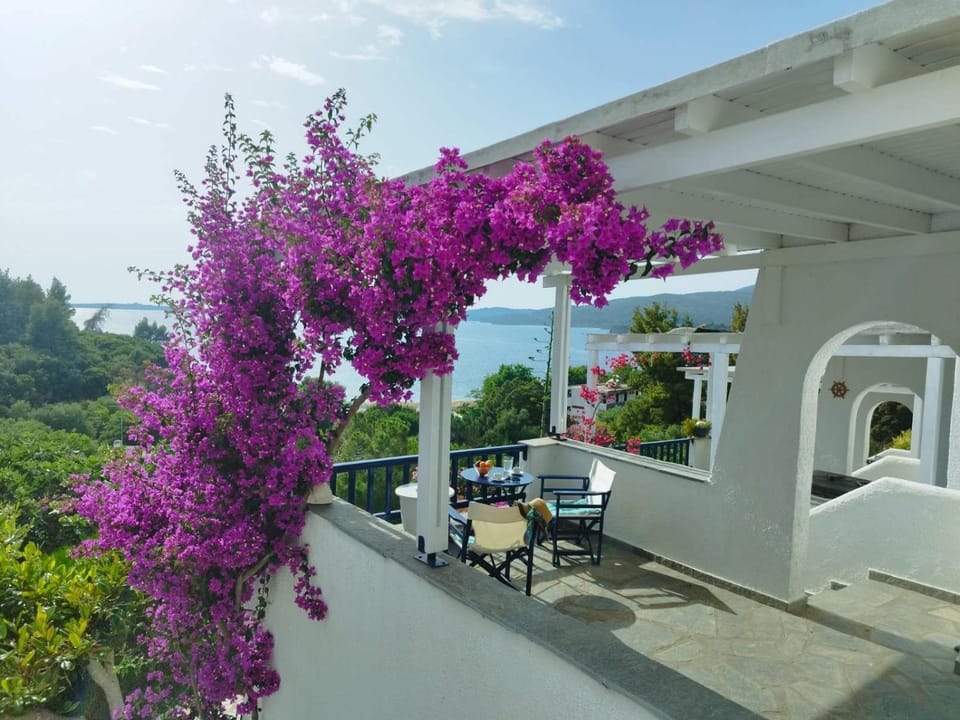 Villa Danai House in Halkidiki