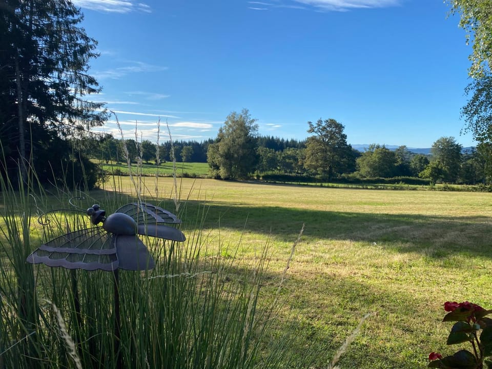Natural landscape, Summer