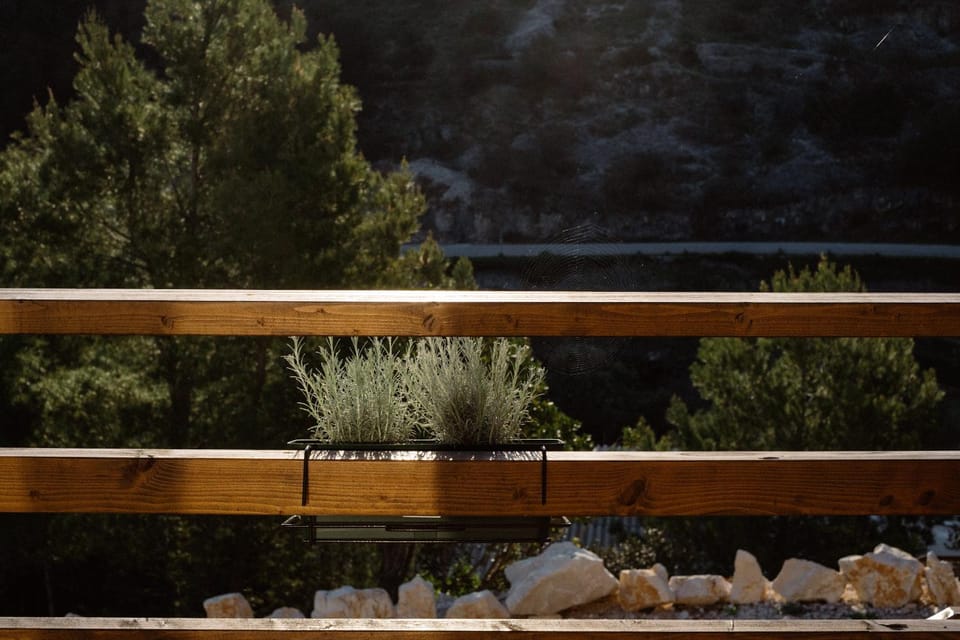 Balcony/Terrace, Garden view