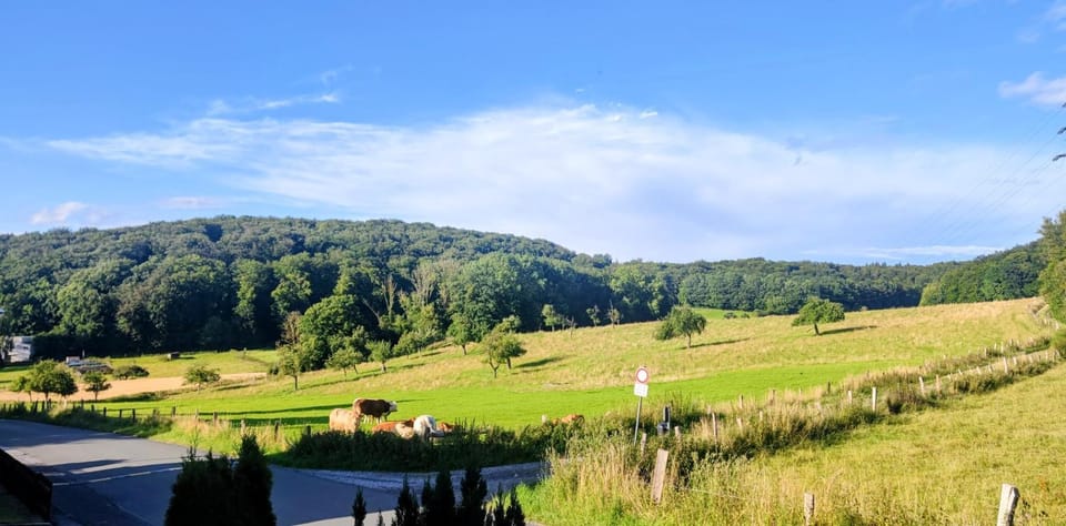 View (from property/room)