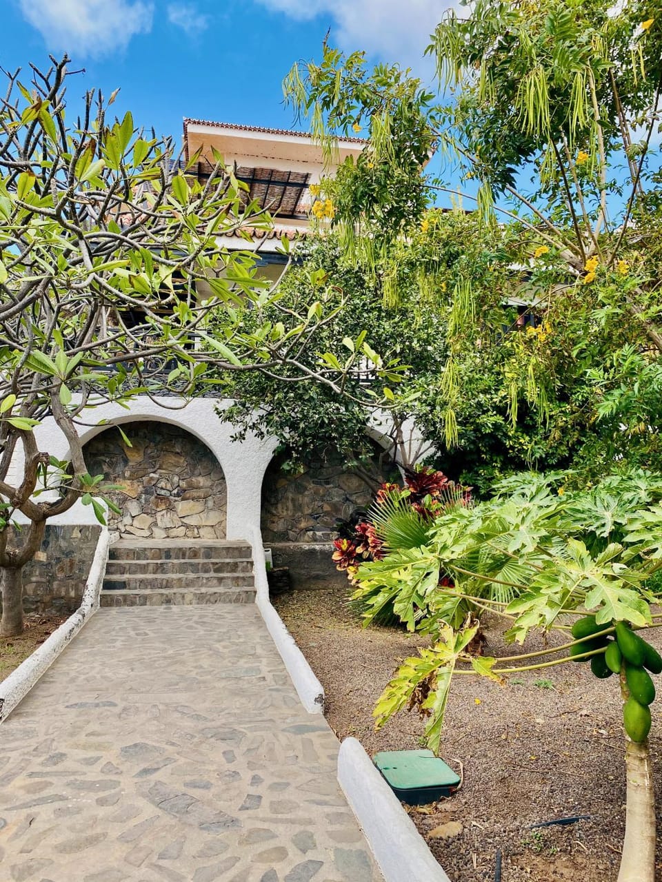 Patio, Garden