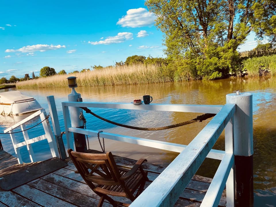 Natural landscape, Garden, River view