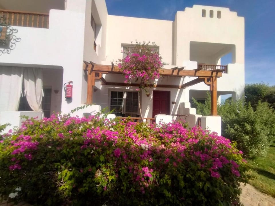 Delta sharm دلتا شرم studio Apartment in Sharm El-Sheikh