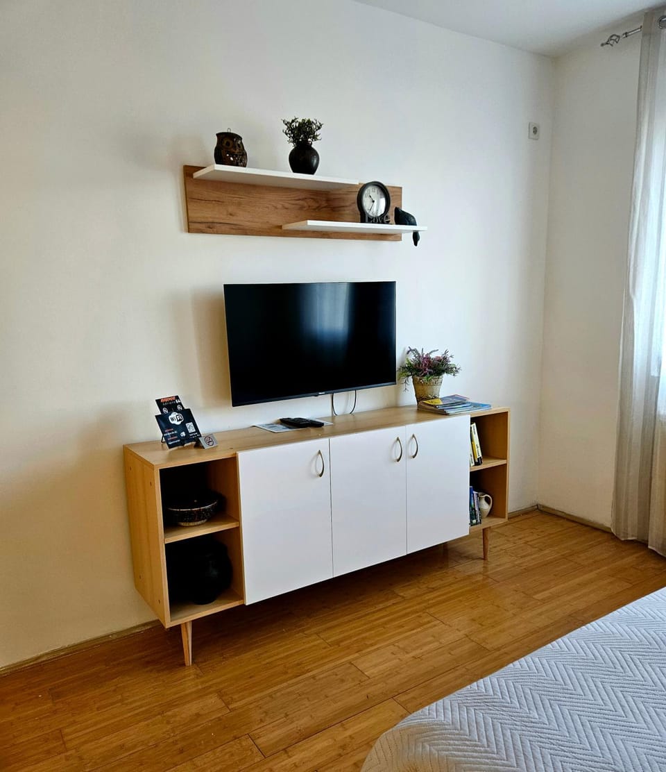 TV and multimedia