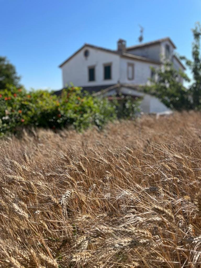 I Duchi Pellegrini Farm Stay in Marche