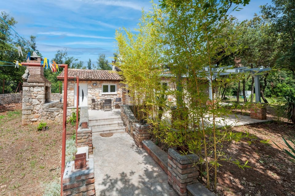 Patio, Garden