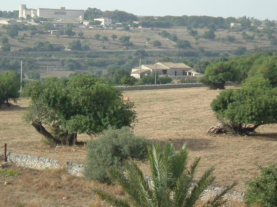 Natural landscape
