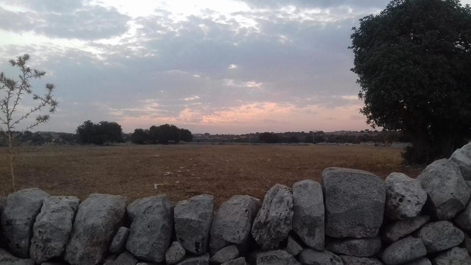 Natural landscape