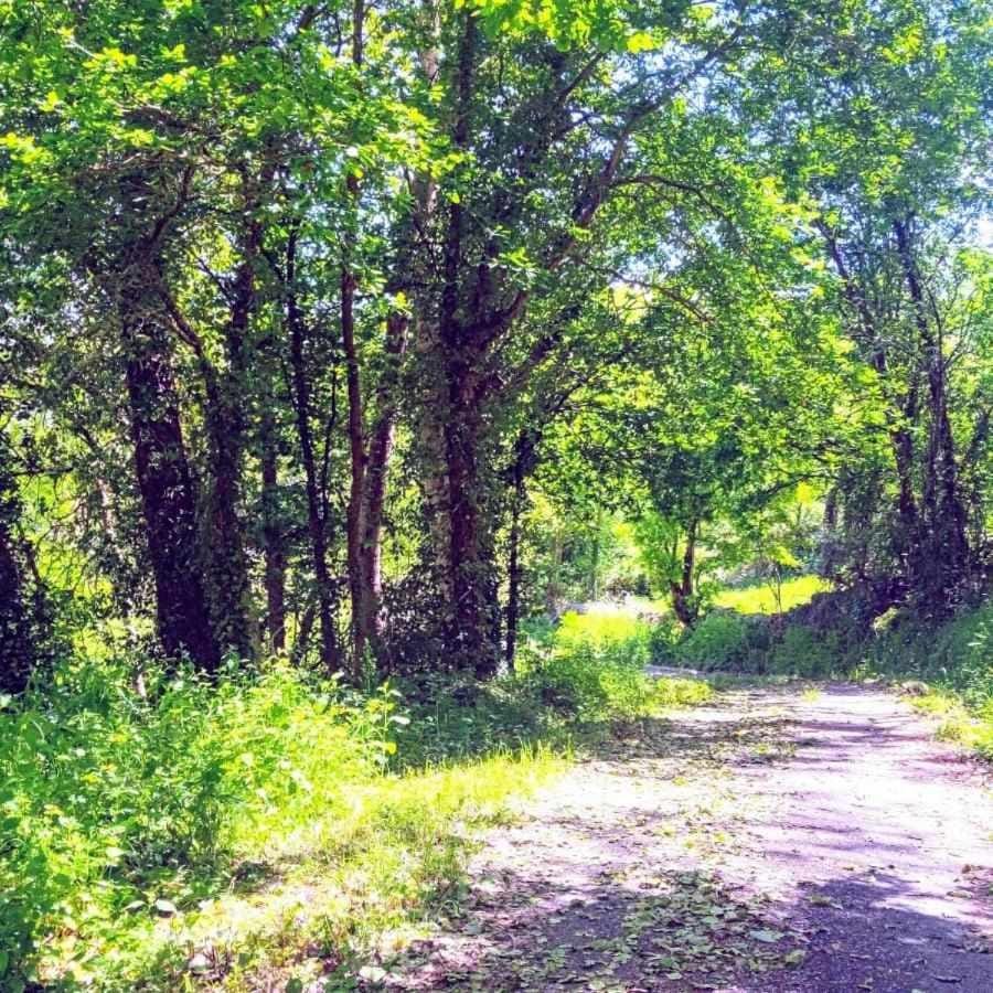 Alojamiento Pena da Osa House in Galicia