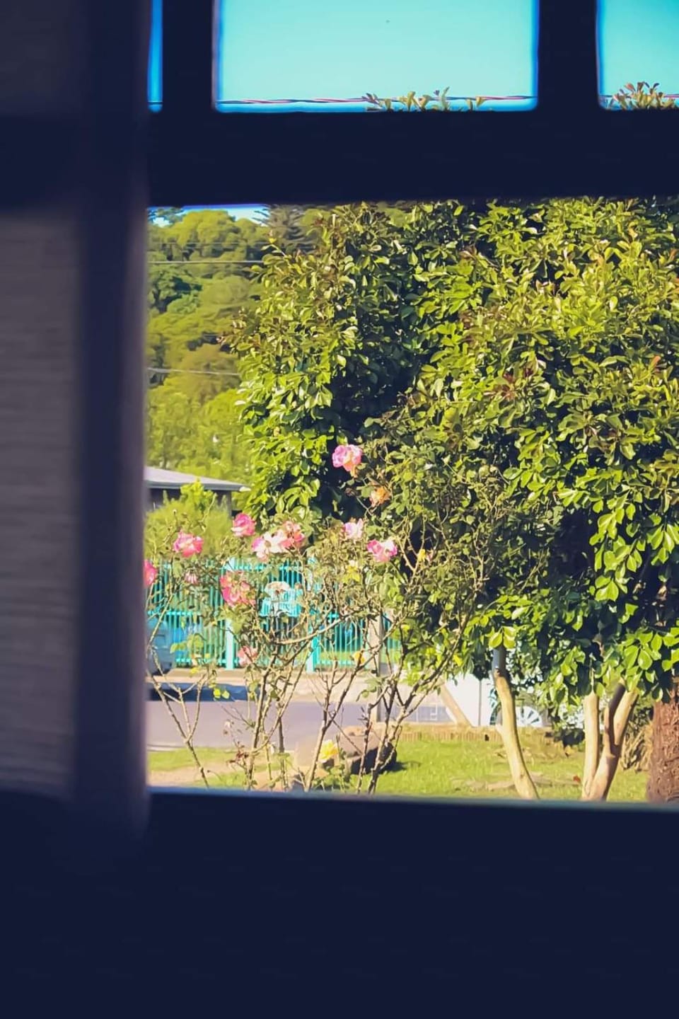 Garden, Garden view