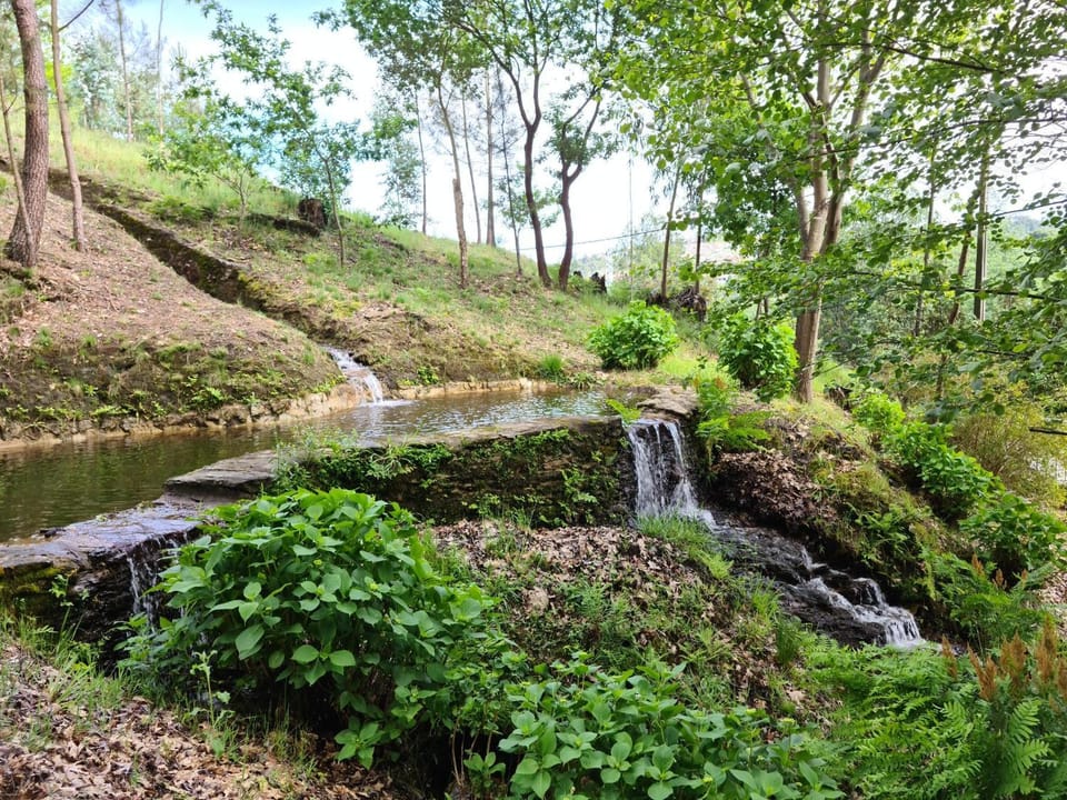 Natural landscape