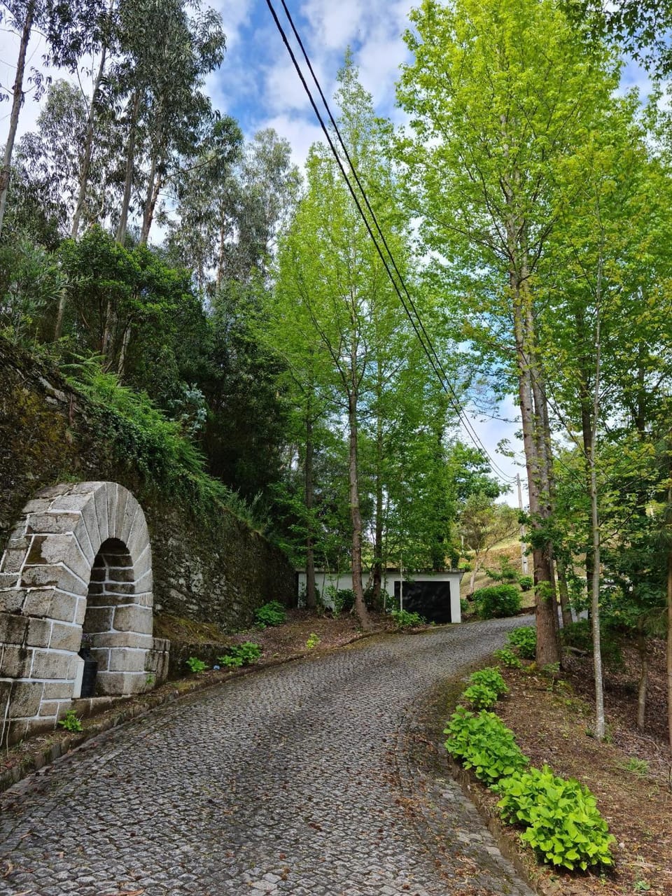 Natural landscape
