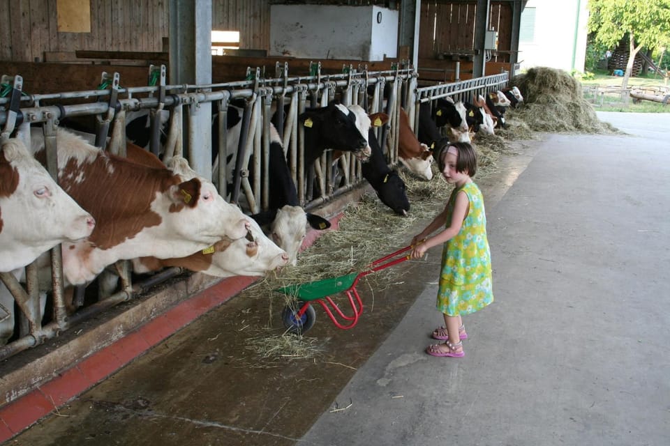 Animals, Pets, children