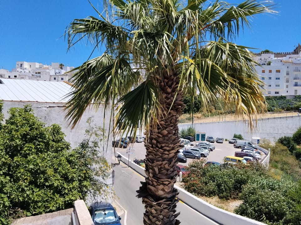 Estudio Capricho Apartment in Vejer de la Frontera