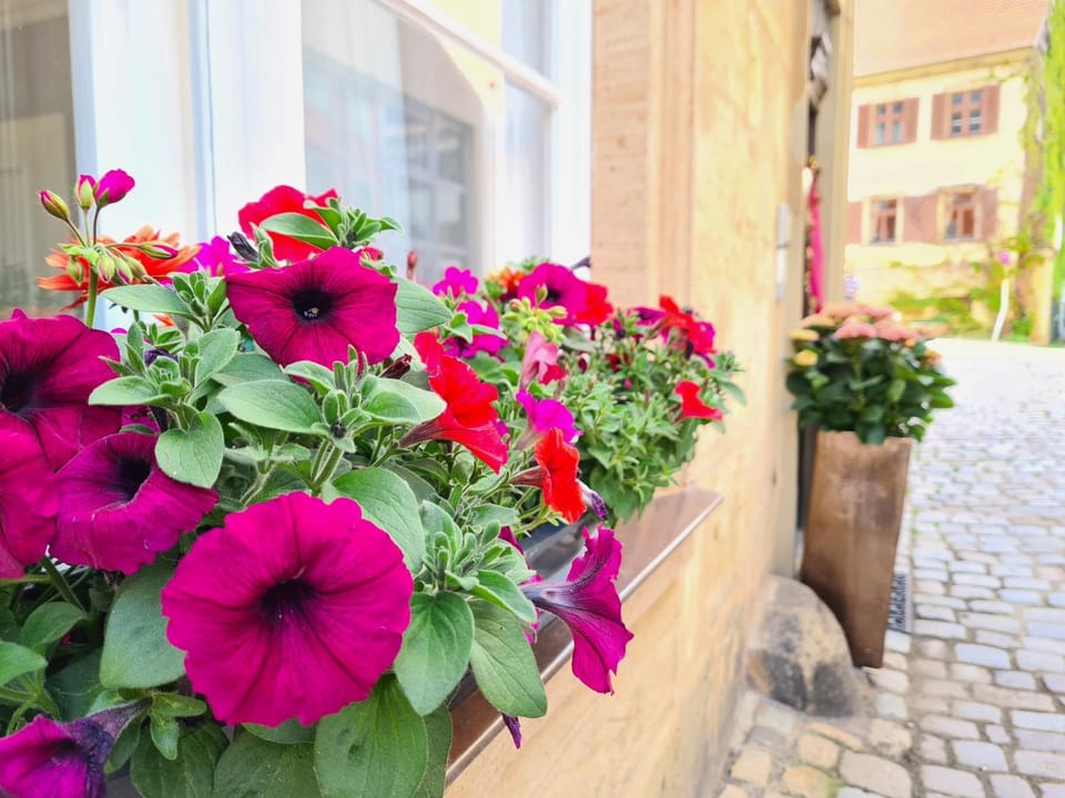 Altstadthotel Molitor Hotel in Bamberg
