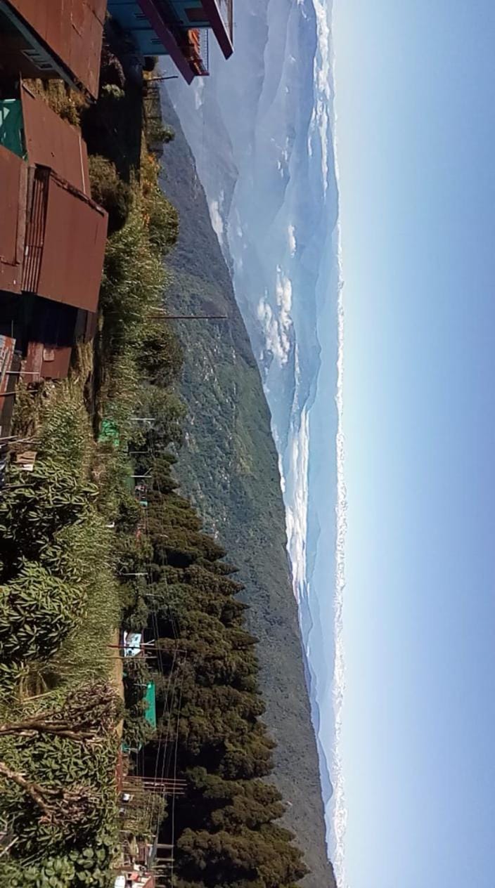 Natural landscape