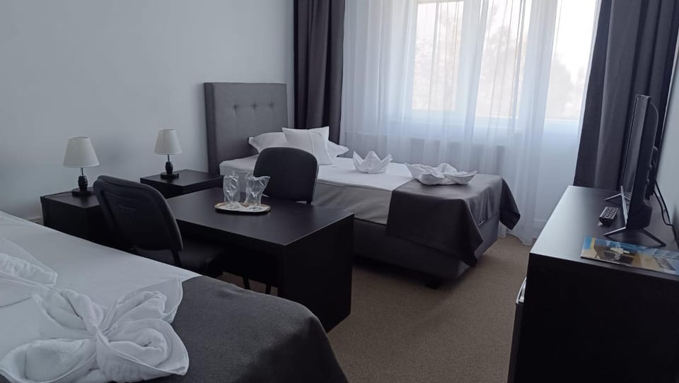 Hotel Lebăda Hotel in Constanța County