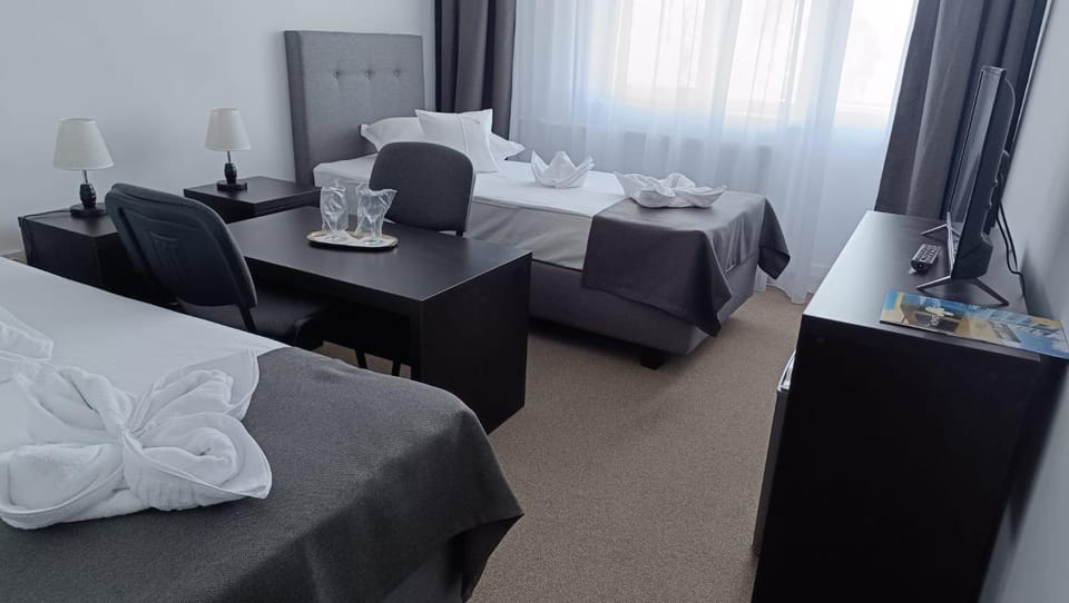Hotel Lebăda Hotel in Constanța County