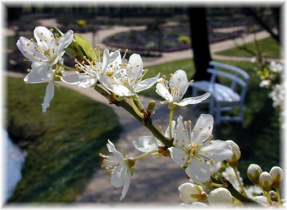 Haus Wattenblick OG Apartment in Westerland