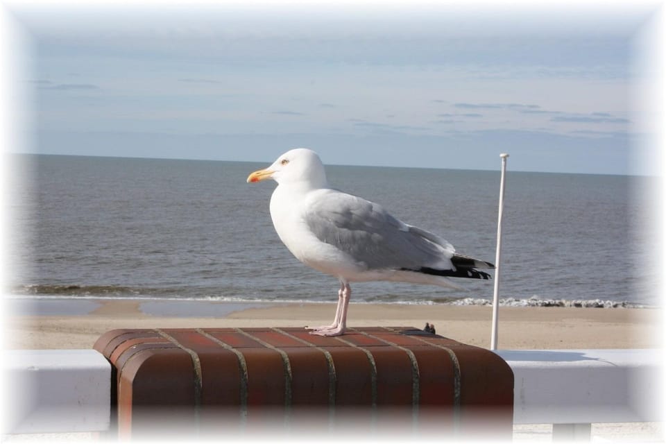 Haus Wattenblick OG Apartment in Westerland