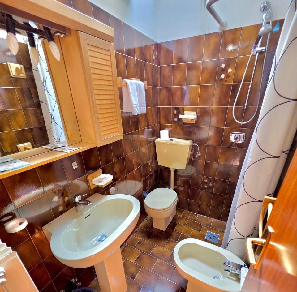 Shower, Toilet, Bathroom, bidet, towels