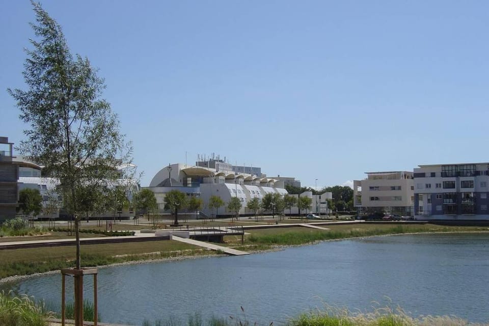 Lake view