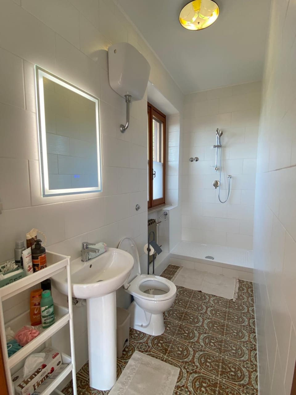 Shower, Toilet, bidet