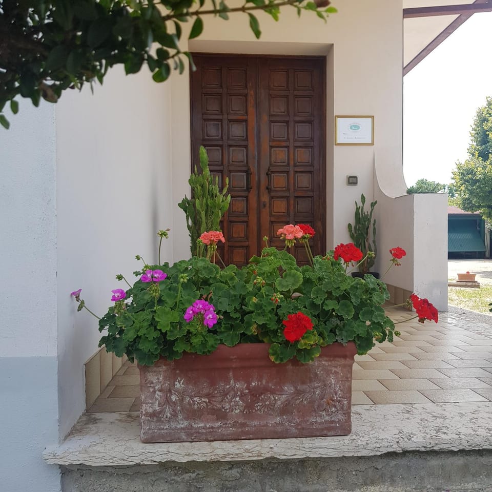 B & B Cedro Argentato Country House in Veneto