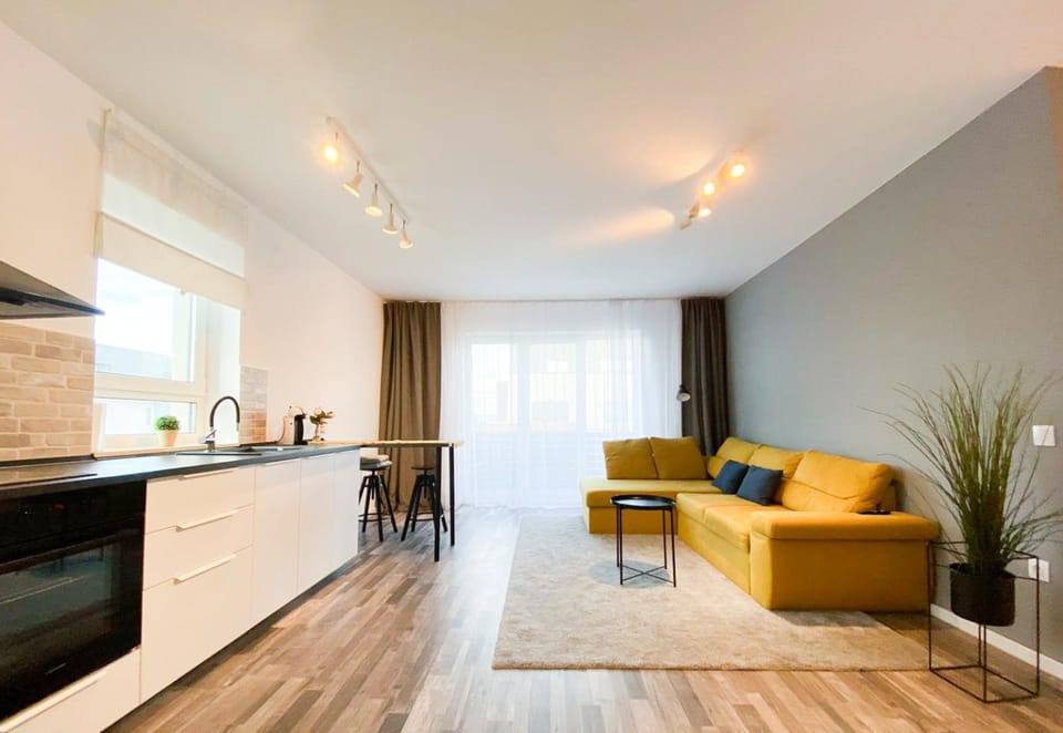 Sunlit Modern Apartment with Fast WiFi Self Check in Free Parking Apartment in Brasov