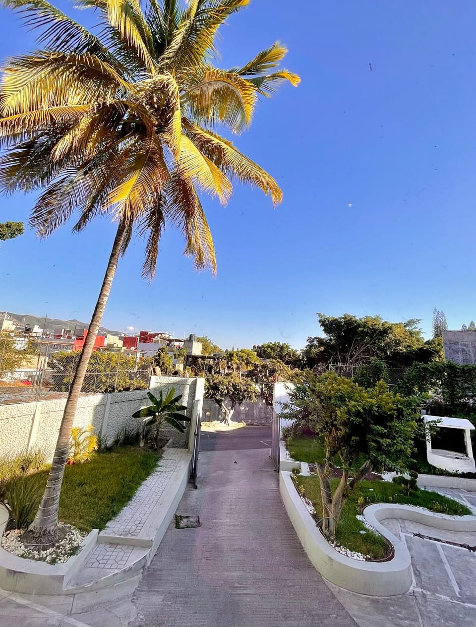 Garden view