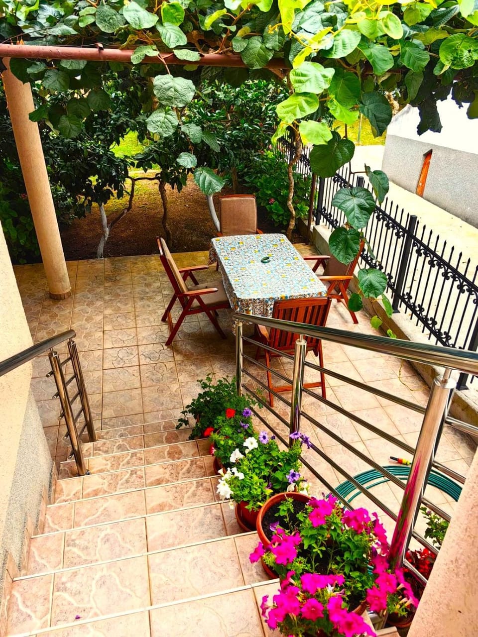 Patio, Garden
