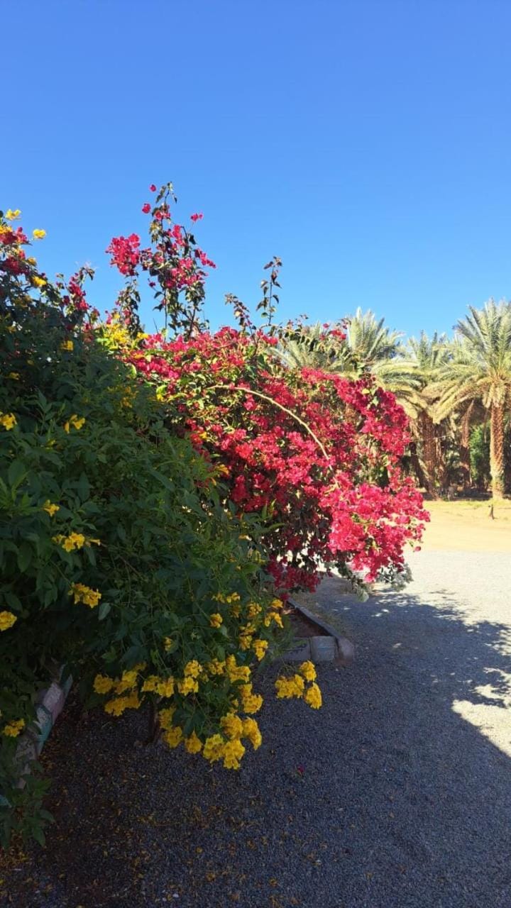 استراحة البستان الريفي Resort in Al Madinah Province