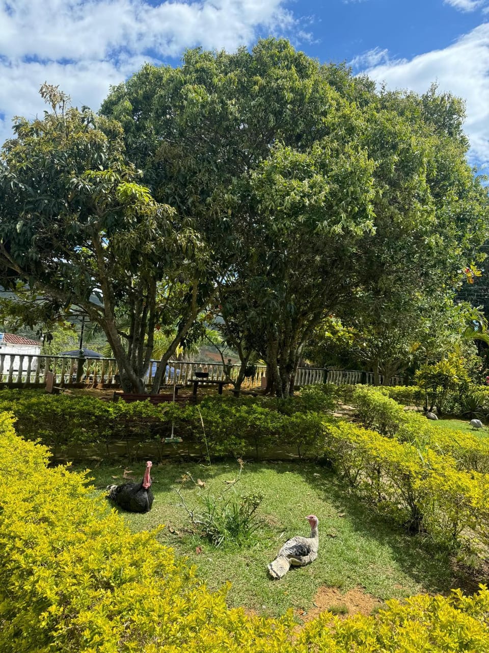 Eco Hotel San Miguel Barichara Campestre Country House in San Gil