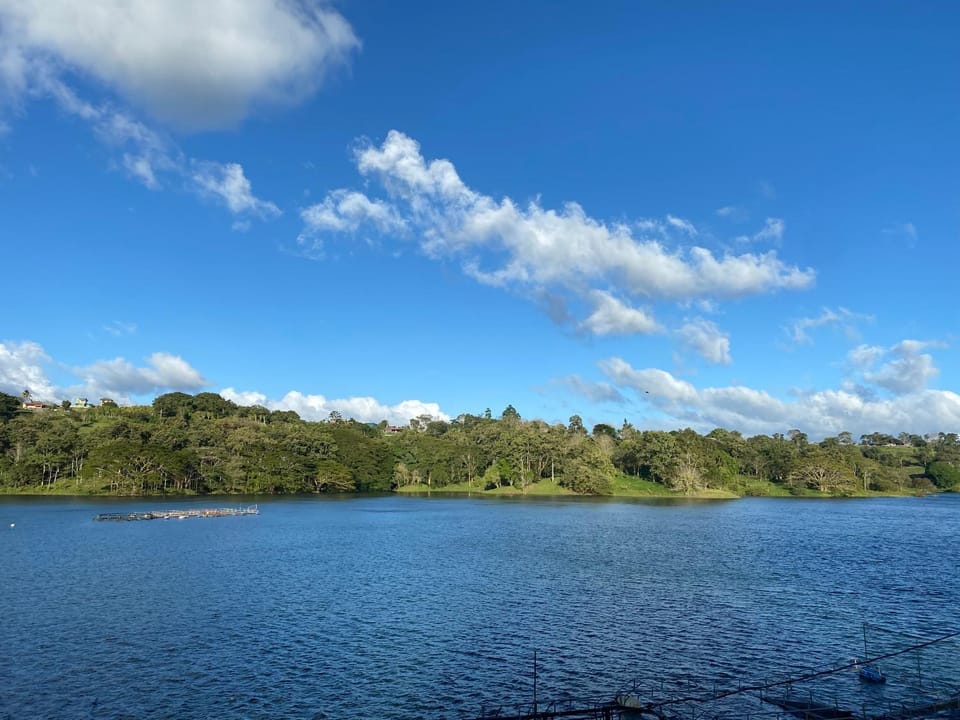 Lake view