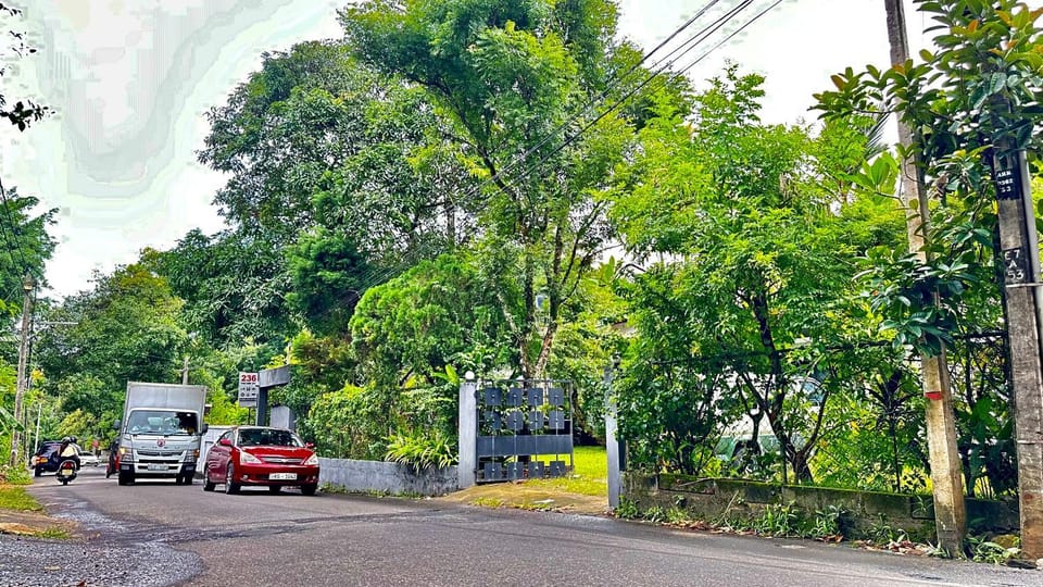 Day, Neighbourhood, Natural landscape, Street view