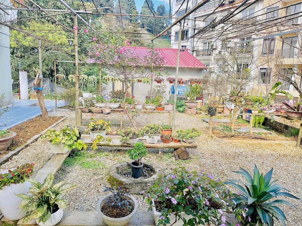 The 1996 House Bed and Breakfast in Laos