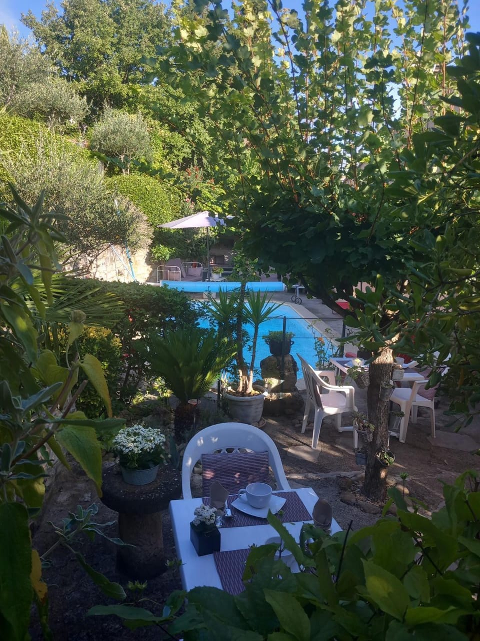Pool view, Swimming pool