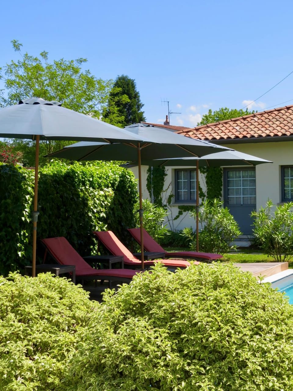 Garden, View (from property/room), Garden view, Swimming pool, sunbed