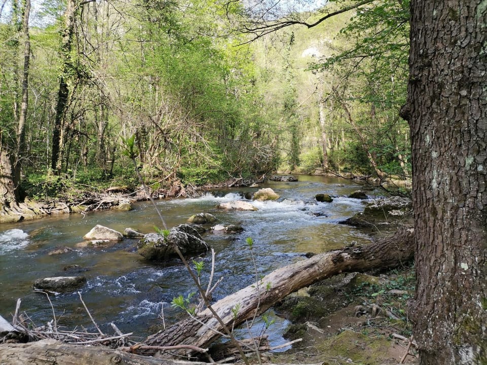 Apartman ST.Nedeljkovic Sokobanja Apartment in Serbia