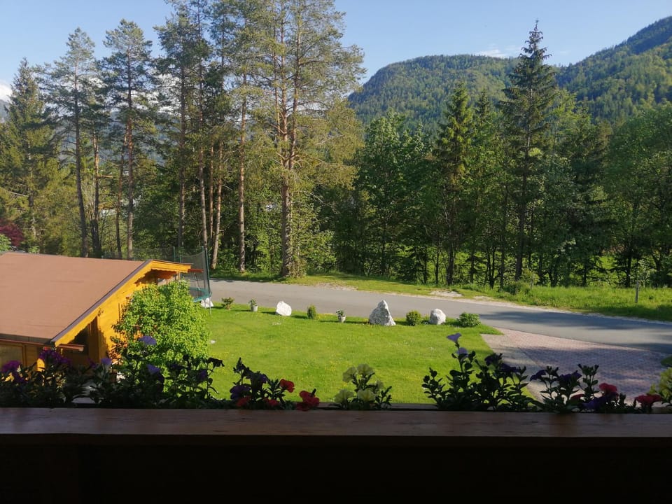 View (from property/room)