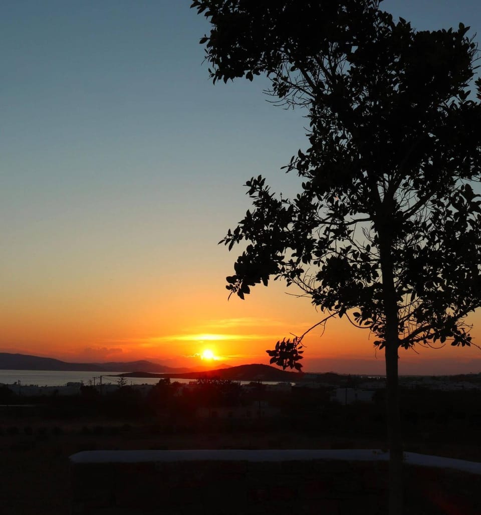 View (from property/room), Sunset