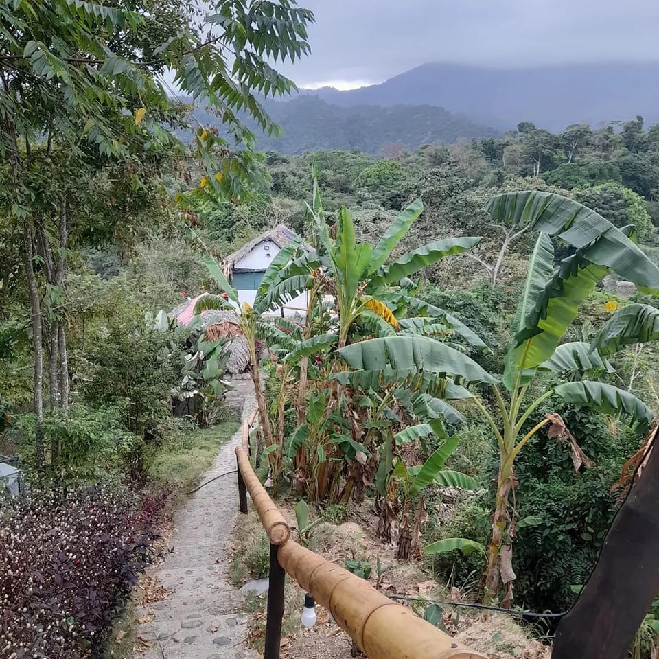Restaurant/places to eat, Spring, Day, Natural landscape, Balcony/Terrace, Hiking, Mountain view, Swimming pool, Breakfast, Parking, internet, laundry