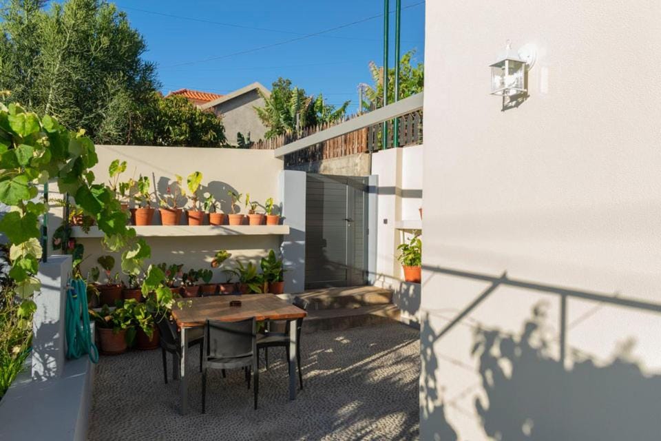 Patio, Garden, Dining area