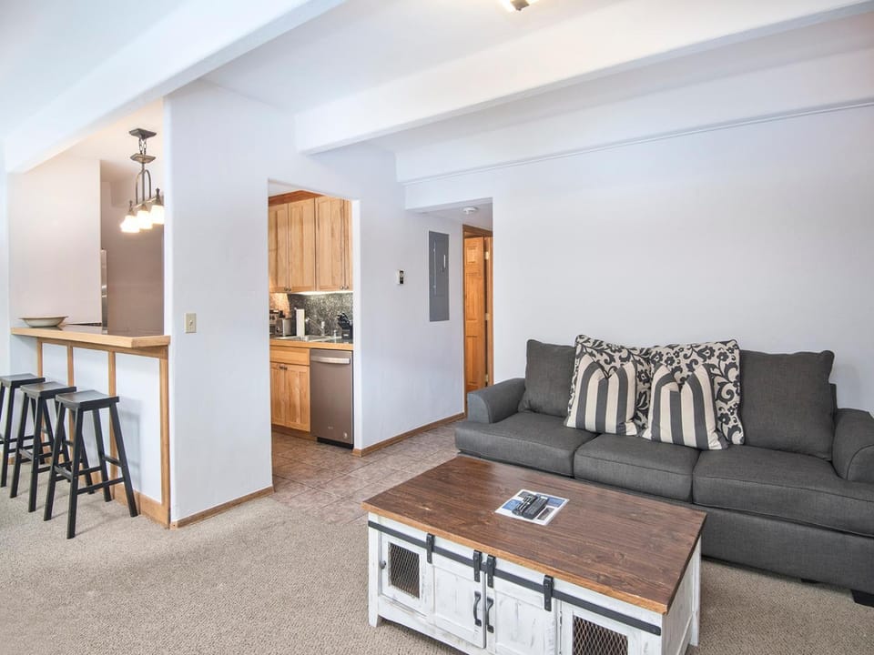 Vantage Point Condo 314 Apartment in Vail