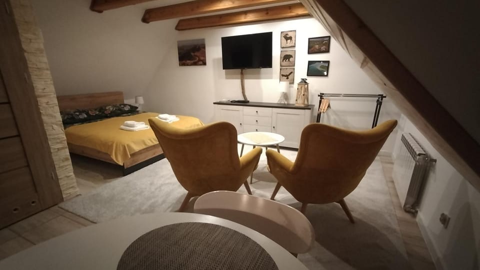 Apartamenty Pod Lipą Apartment in Lviv Oblast