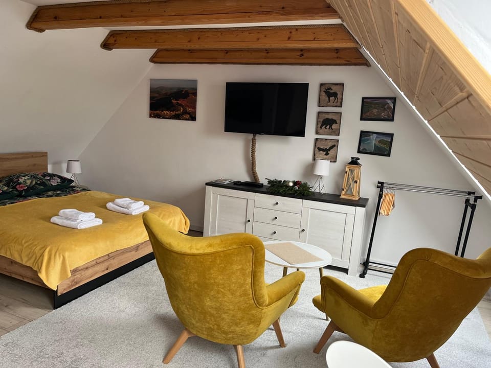 Apartamenty Pod Lipą Apartment in Lviv Oblast