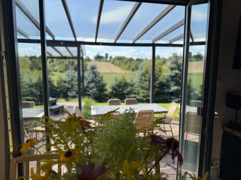 Garden view